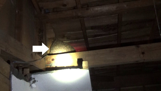 天井裏のスズメバチの巣