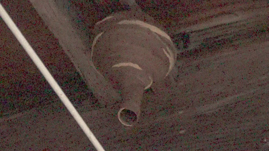 軒下のコガタスズメバチの巣