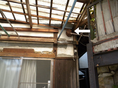 スズメバチの巣は軒下に