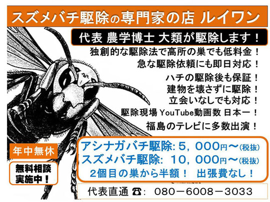 ハチ駆除に関する よくあるご質問 ハチ駆除のルイワン