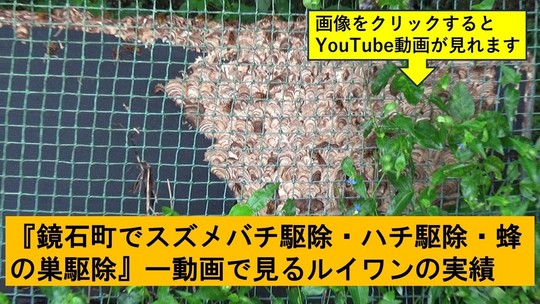 鏡石町でのハチ駆除の実績動画