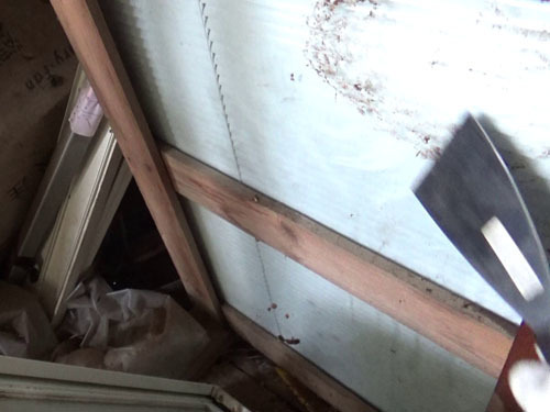 スズメバチの巣を撤去した跡（田村市）