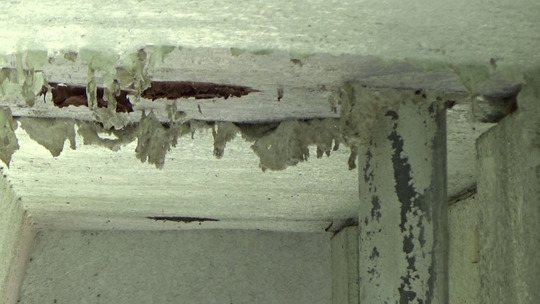 キイロスズメバチの巣を撤去後に残渣を削った状態