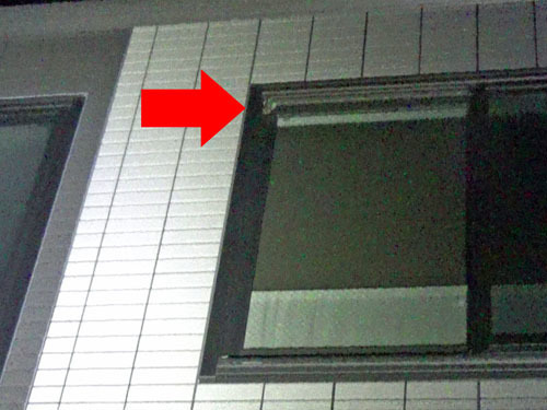 アシナガバチ駆除の現場（郡山市）