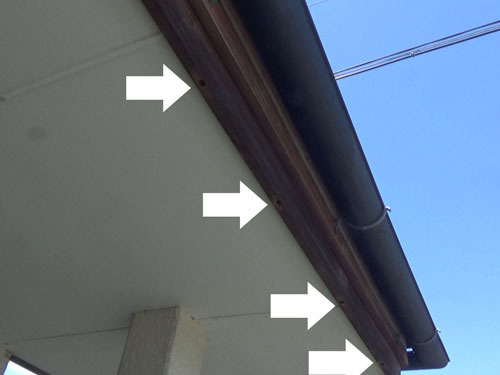 クマバチ駆除の現場（矢吹町）