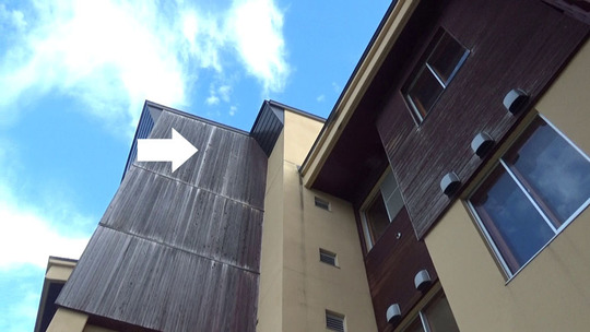 スズメバチが出入りする３階の外壁の板塀