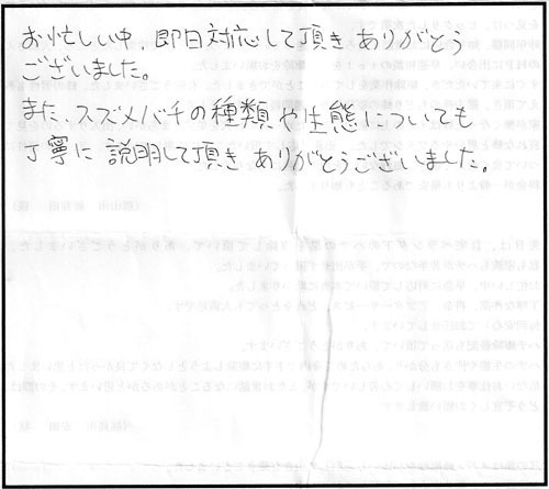 本宮市でスズメバチ駆除の菊池様からの口コミ