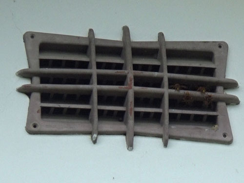 キイロスズメバチの出入口の通気口（福島市）