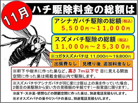 蜂駆除 会津若松でスズメバチ駆除・蜂駆除・蜂の巣駆除はルイワン