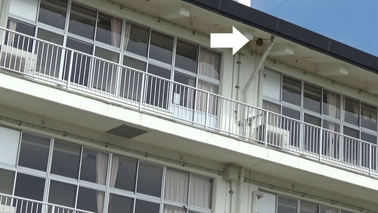 郡山市の海老根小学校でスズメバチ駆除の現場