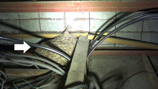 小野町で古いキイロスズメバチの巣駆除の現場