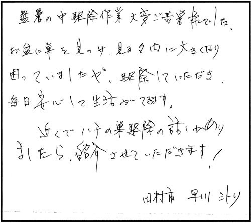 田村市でスズメバチ駆除のお客様の声