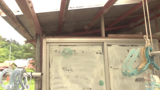 ２個のスズメバチの巣があった物置