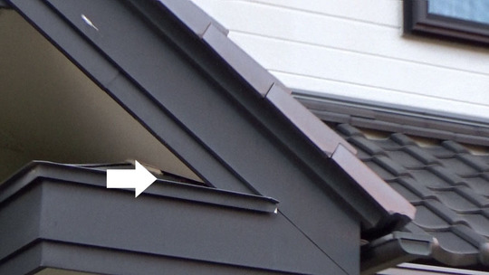 玄関真上でスズメバチが出入りする現場