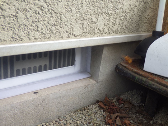 外出から巣に戻るオオスズメバチがいるので、その対策も実施しました。その対策は、飛び回るオオスズメバチを作業中に粘着板で捕虫していましたが、その捕虫した粘着板を巣跡に設置する方法です。 粘着板に捕虫されたスズメバチに巣跡に戻ってきて飛び回るスズメバチたちが誘引されて、次々に粘着板に捕虫されていきます。この習性を利用して巣跡に戻るスズメバチ対策としました。