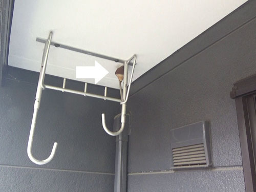 スズメバチ駆除の現場（郡山市）