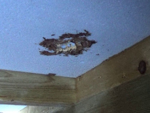 スズメバチの巣を駆除後、撤去した跡（白河市）