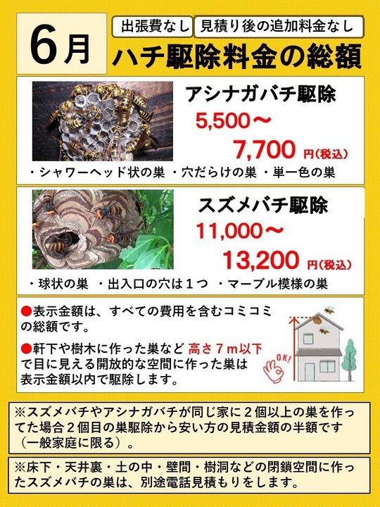 三春町でスズメバチ駆除- 神社の土手でオオスズメバチの巣を駆除! 三春町でスズメバチ駆除- 神社の土手でオオスズメバチの巣を駆除!