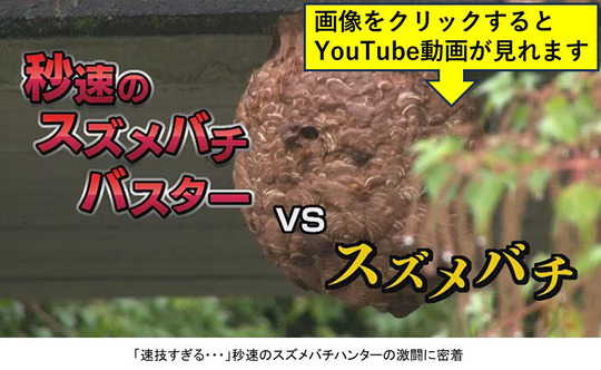 秒速のスズメバチバスターに密着取材