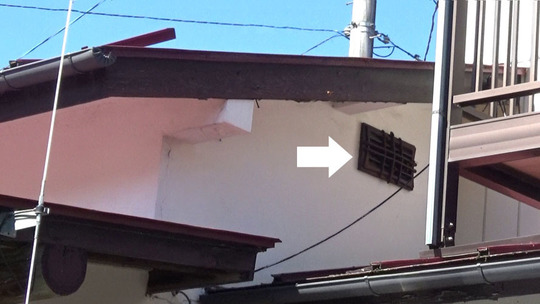 通気口から出入りするスズメバチ