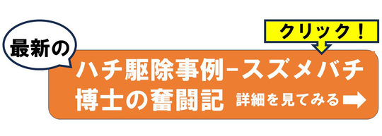 ハチ駆除事例-スズメバチ博士の奮闘記