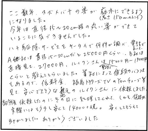 須賀川市でスズメバチ駆除のお客様の声