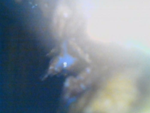 駆除後にファイバースコープで成果を確認（矢吹町）