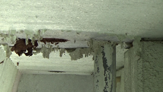 高所の軒下のキイロスズメバチの巣を撤去した直後