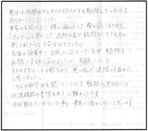 須賀川市で壁の中のキイロスズメバチ駆除のＵ様からのキイロ