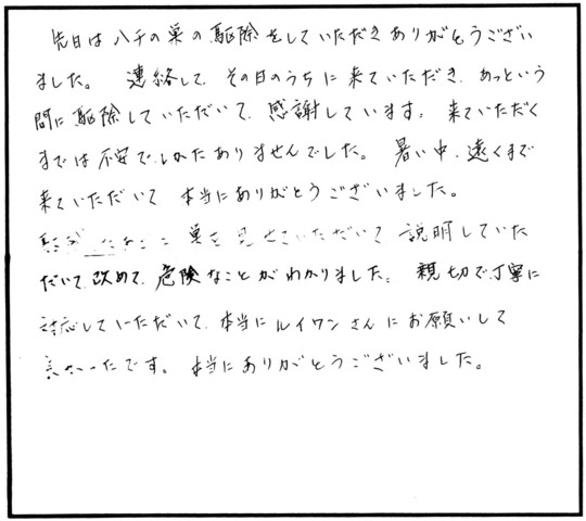 白河市でスズメバチ駆除のお客様の声