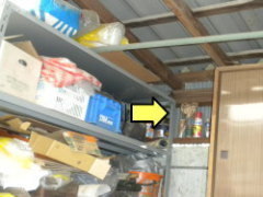 スズメバチの巣は小屋の中に