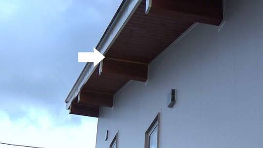 ハチ駆除-鏡石町で高所のアシナガバチ駆除