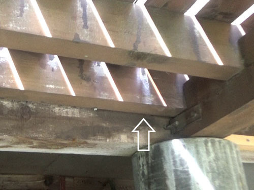 スズメバチがデッキと壁の隙間から出入り（猪苗代町）