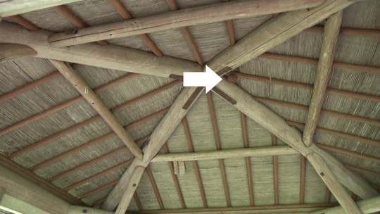 スズメバチ駆除-三春町役場から緊急蜂の巣駆除要請概要