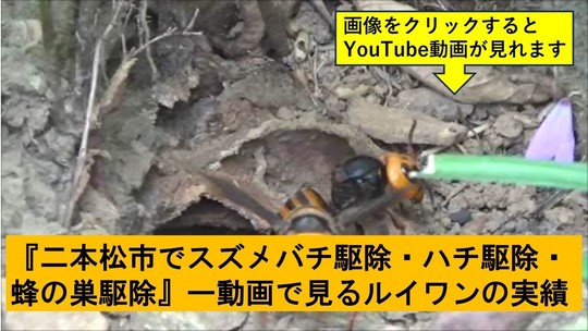 二本松市でのハチ駆除の実績動画
