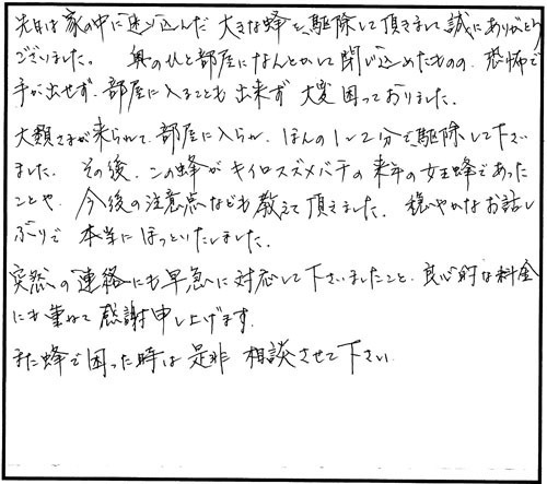 郡山市でスズメバチ駆除のお客様の声