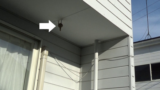 スズメバチ駆除の現場（郡山市）