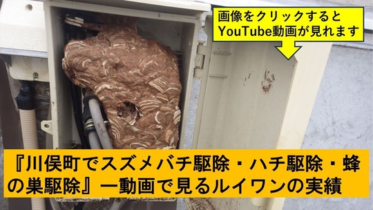 川俣町でのハチ駆除の実績動画