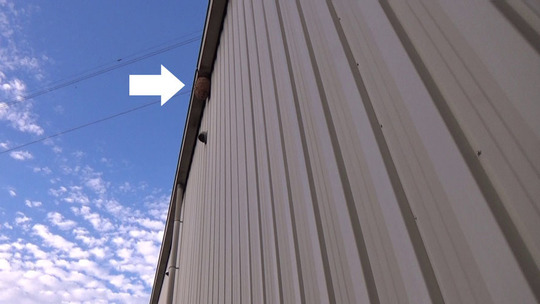 倉庫の高所の軒下に作ったスズメバチの巣