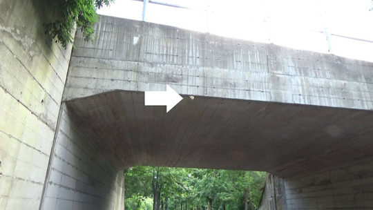 トンネルに作ったスズメバチの巣