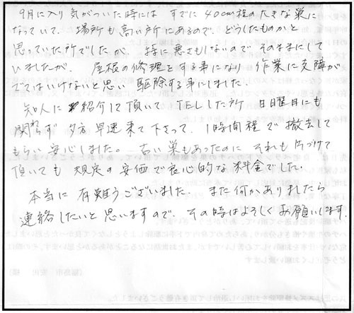 郡山市でキイロスズメバチ駆除の口コミ