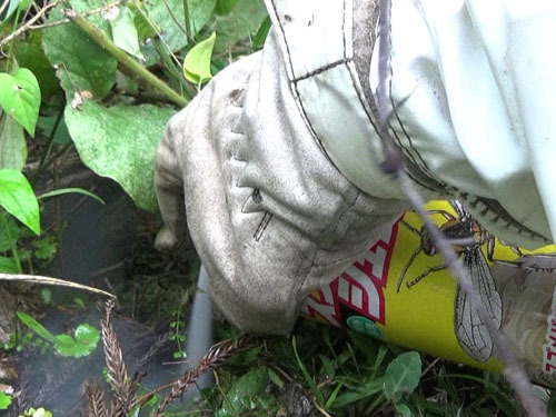 土中のスズメバチの出入り口に殺虫剤を噴射 （田村市）