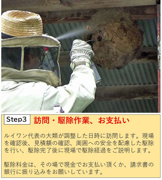 蜂駆除の訪問・駆除作業、お支払い