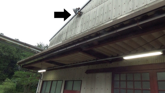 小野町でキイロスズメバチ駆除の現場