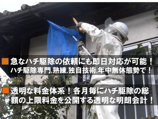 ハチ駆除ルイワンの特徴