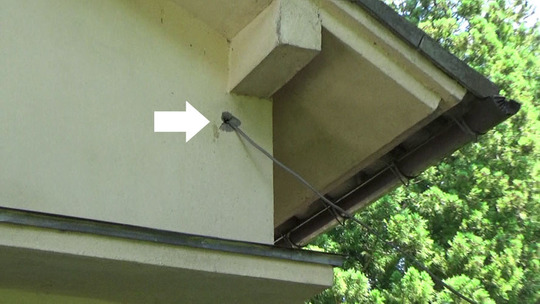 外壁の小さな穴からスズメバチが出入り