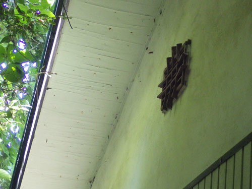 スズメバチの巣は天井裏に