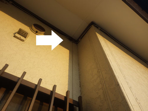 スズメバチ駆除の現場（郡山市）